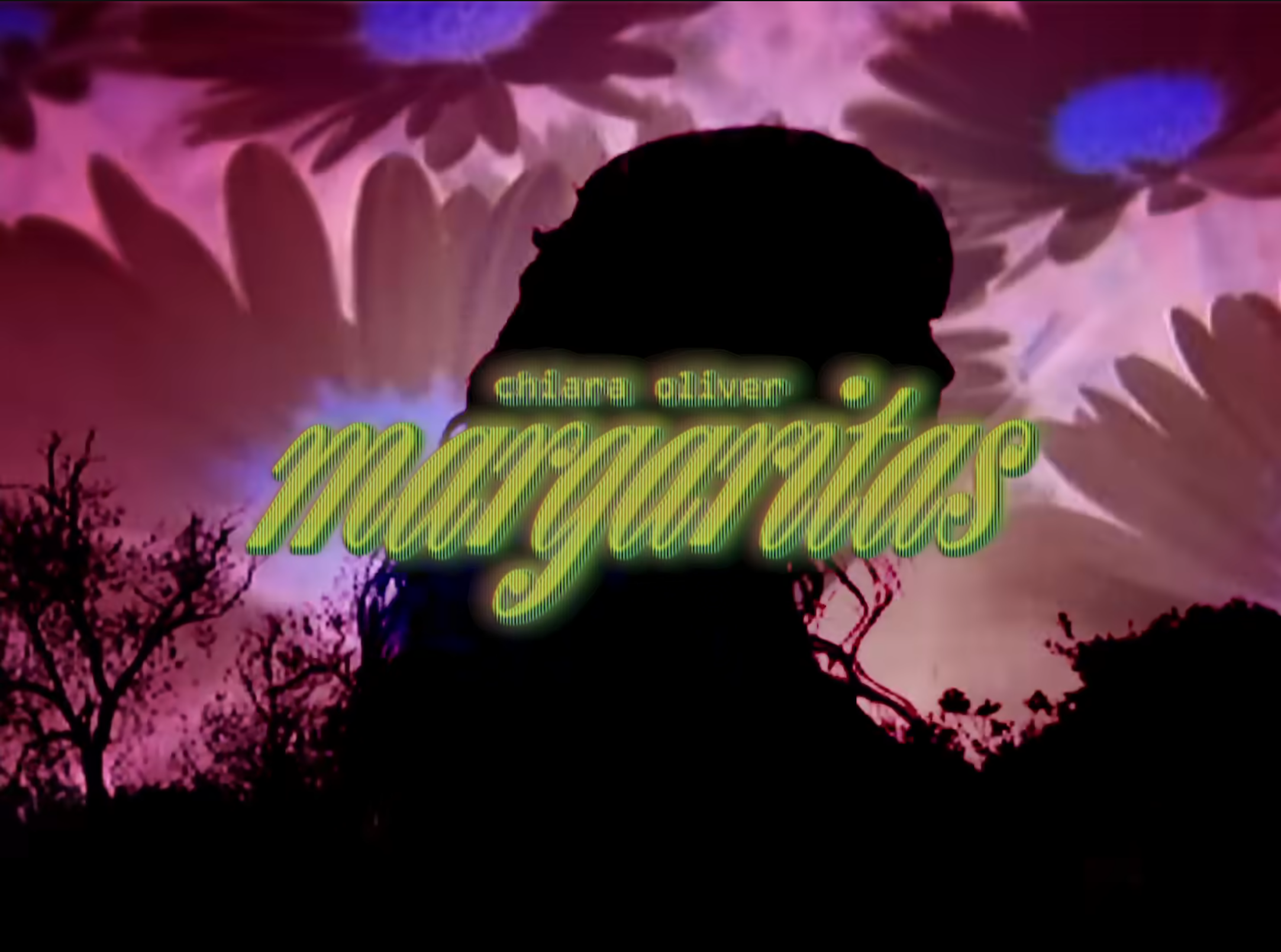 margaritas videoclip